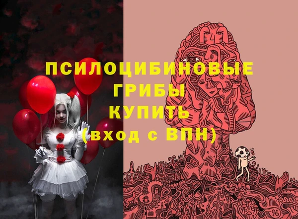 стаф Алзамай