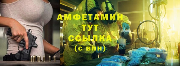 стаф Алзамай