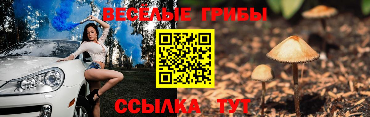 Губкин  Галлюциногенные грибы MAGIC MUSHROOMS  Вход с VPN  Галлюциногенные грибы Magic Shrooms 